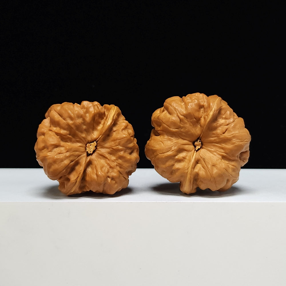 The "Toad Head" Ultimate Collector's Symmetrical Pair | 42.0mm x 43.0mm | HMT-SSS-001507