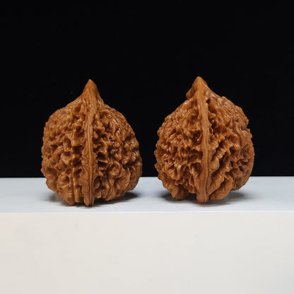 The "Qilin Texture" Qi Lin Wen Lion's Head Collector Pair | SS-Grade Masterpiece Tier | 50.0mm x 43.0mm | SZ-SS-016489