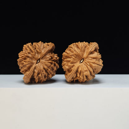 The "Qilin Texture Concave-Base Peach-Heart" Qi Lin Wen Tao Xin Ao Di Lion's Head Pair | SS-Grade Masterpiece Tier | 51.0mm x 44.0mm | SZ-SS-015488