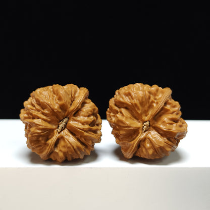 The "Spherical Round" Bai Shi Zi Lion's Head Pair | S-Grade Collector Tier | 41.0mm x 40.0mm | BSZ-S-002362