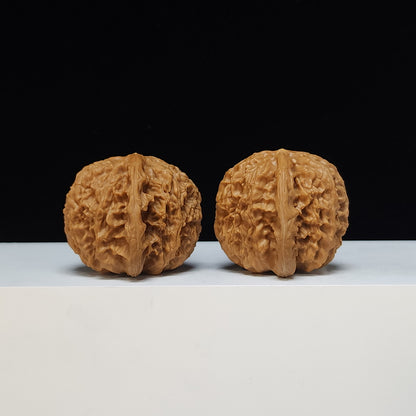 The White Lion Bai Shi Zi Collector Pair | SS-Grade Masterpiece Tier | 43.0mm x 42.0mm | BSZ-SS-010492