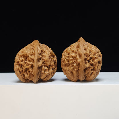 The "Red Brocade Koi" (Hong Jin Li) Premium Symmetrical Collector's Pair | 41.0mm x 42.0mm | HT-SS-003474