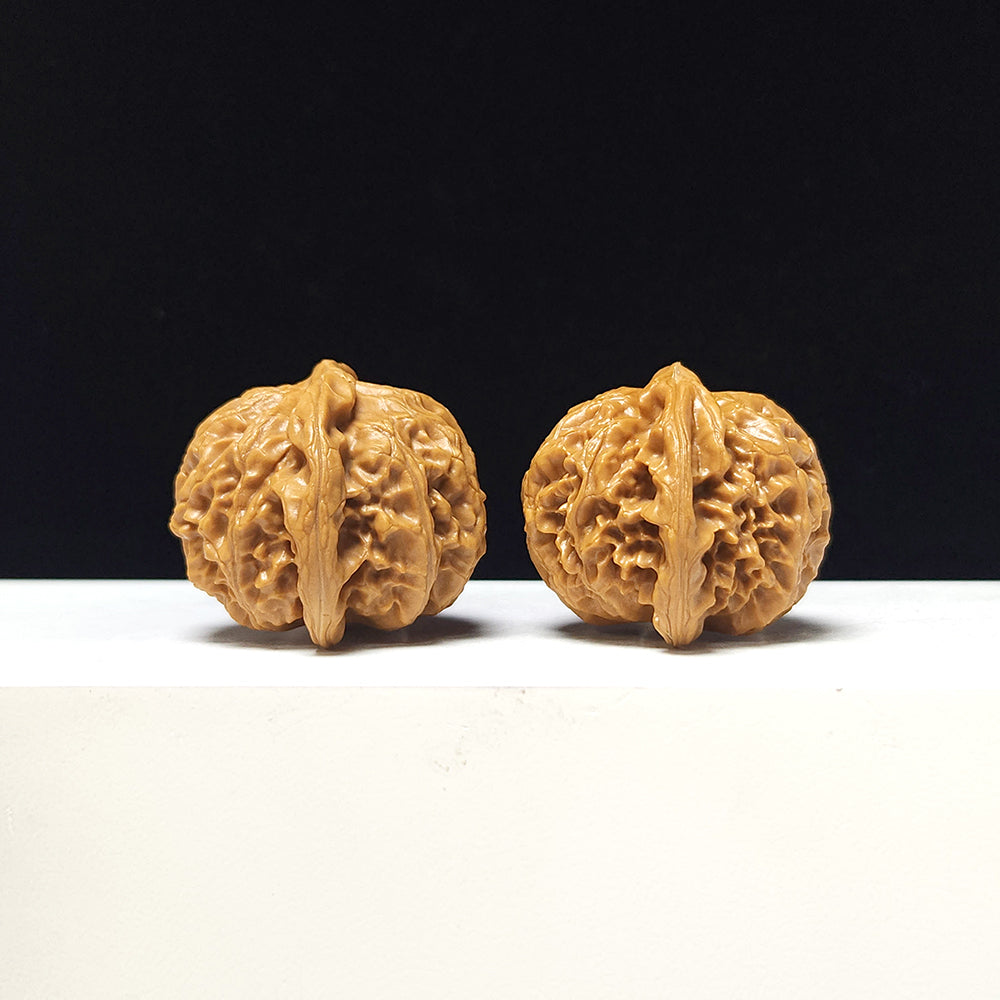 The "Lantern" Collector Pair | A-Grade Collector Tier | 41.0mm x 38.0mm | SZ-A-067711