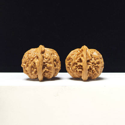 The "Lantern" Collector Pair | A-Grade Collector Tier | 41.0mm x 38.0mm | SZ-A-067711