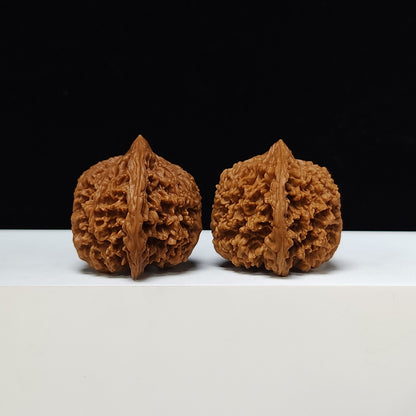 The "Starry Sky" Man Tian Xing Collector Pair | S-Grade Investment Tier | 43.0mm x 40.0mm | MTX-S-002319