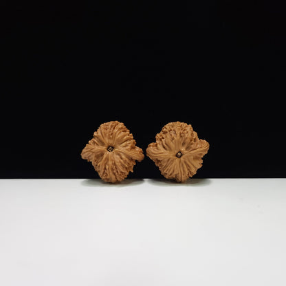 The "Nanjiang Stone" (Nanjiang Shi) Collector's Symmetrical Pair | 38.0mm x 37.0mm | NJS-AA-011673