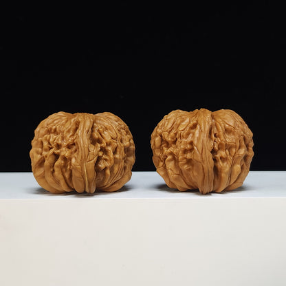 The "Huakun Dragon" SS‑Grade Mighty Veneer Master Pair | Distinct Vein‑Dominant Wenwan Curiosity | 46.0mm x 44.0mm | SZ‑SS‑012473