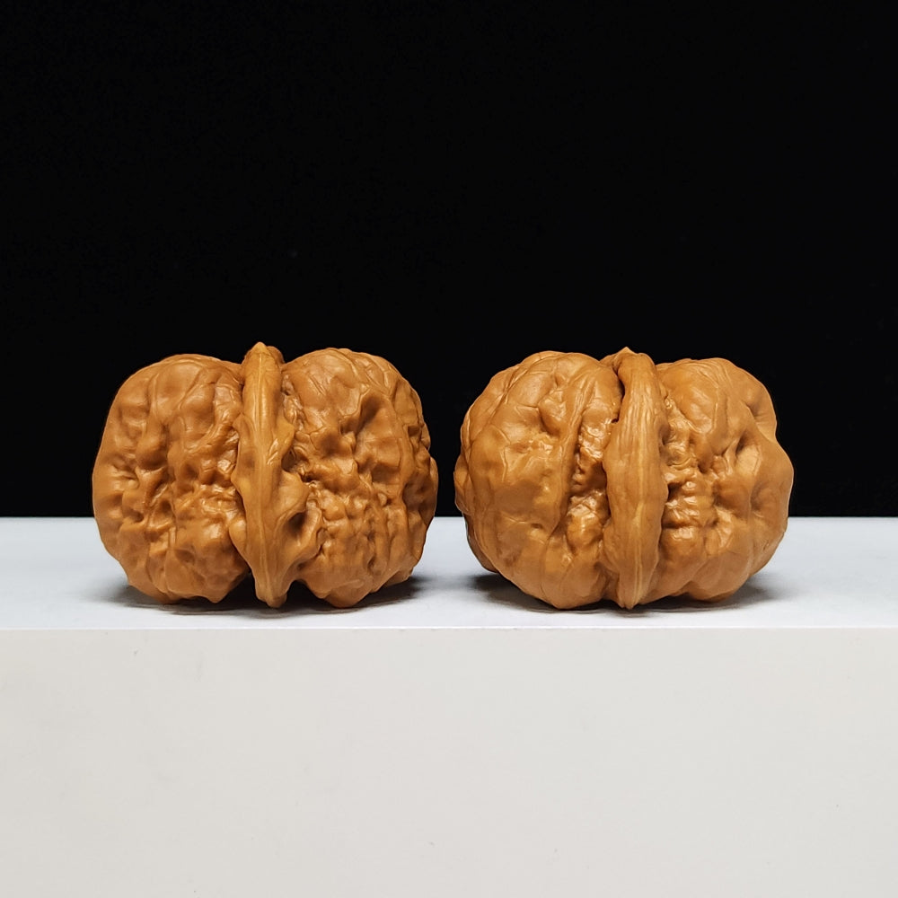 The "Toad Head" Ultimate Collector's Symmetrical Pair | 42.0mm x 43.0mm | HMT-SSS-001507
