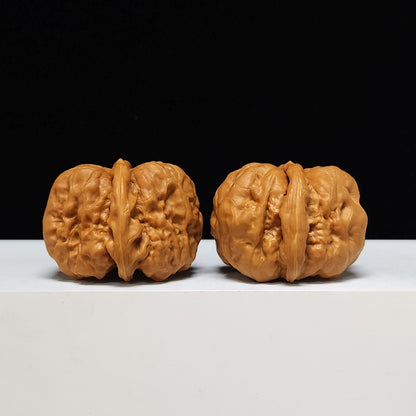 The "Toad Head" Ultimate Collector's Symmetrical Pair | 42.0mm x 43.0mm | HMT-SSS-001507