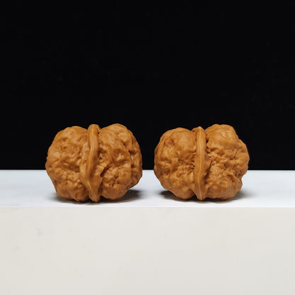 The "Red Shell Toad Head" (Hong Ke Ha Ma Tou) Ultimate Symmetrical Pair | 41.0mm x 42.0mm | HMT-SS-001508