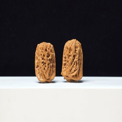 The "Penguin Gold Bar" Qi E Jin Tiao Exotic Hand-Twister Pair | Rare Form Tier | 22.0mm x 22.0mm | YX-E-154858