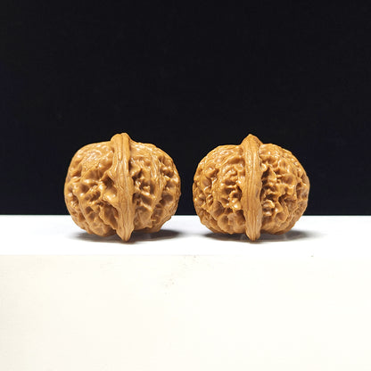The "Lantern" Collector Pair | A-Grade Collector Tier | 41.0mm x 38.0mm | SZ-A-067711