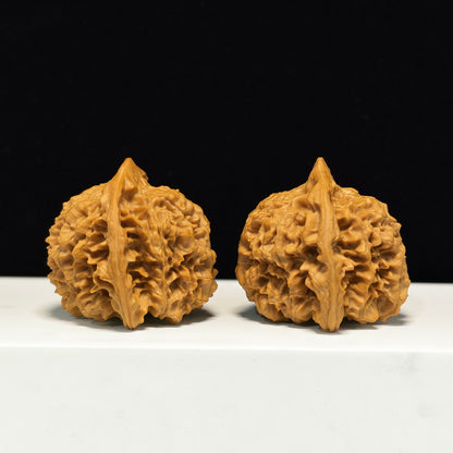 The "Low-Profile Grand Official's Hat" Guan Mao Sovereign Pair | Collector Grade | 47.0mm x 45.0mm | GM-S-005346