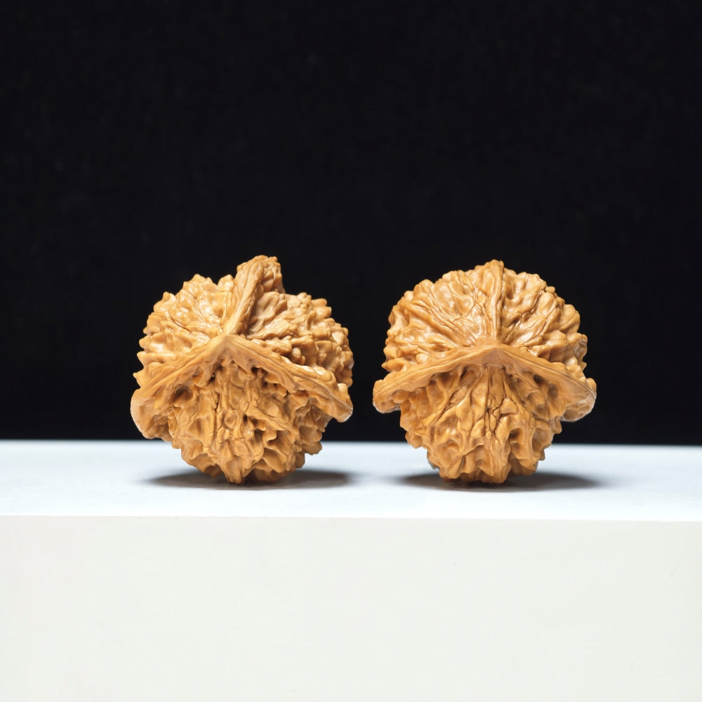 The "Mount Pan Three-Ribbed" Pan Shan San Leng Exotic Collector Pair | Rare Form Tier | 40.0mm x 40.0mm | YX-E-146850