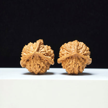The "Mount Pan Three-Ribbed" Pan Shan San Leng Exotic Collector Pair | Rare Form Tier | 40.0mm x 40.0mm | YX-E-146850