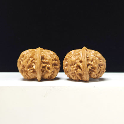 The "Lantern" Collector Pair | AA-Grade Collector Tier | 41.0mm x 41.0mm | SZ-AA-057712