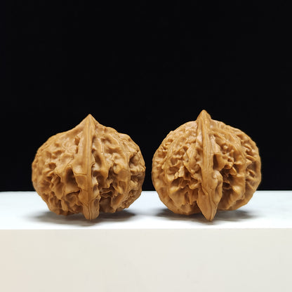The "Peach Heart Lantern" Deng Long Lion's Head Sovereign Pair | SS-Grade Imperial Tier | 46.0mm x 44.0mm | SZ-SS-011354