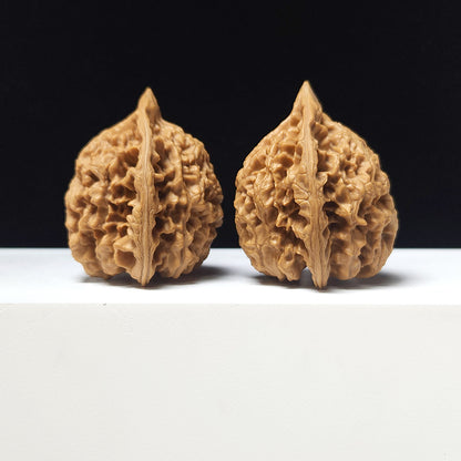 The "Official's Hat Guan Mao" Collector Pair | A-Grade Collector Tier | 44.0mm x 40.0mm | GM-A-024751