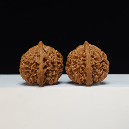 The "Peach-Heart Water Dragon" Tao Xin Shui Long Wen Lion's Head Pair | SSS-Grade Museum Tier | 43.0mm x 44.0mm | SZ-SSS-002486