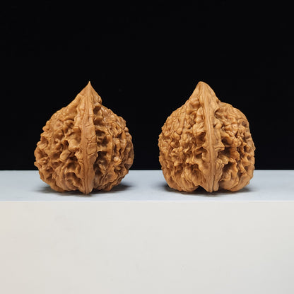 The "Qilin Texture Concave-Base Peach-Heart" Qi Lin Wen Tao Xin Ao Di Lion's Head Pair | SS-Grade Masterpiece Tier | 51.0mm x 44.0mm | SZ-SS-015488