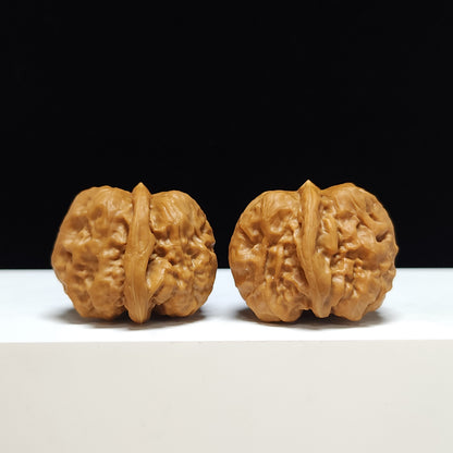 The "Crystal Frog" Shui Jing Wa Hand-Twister Pair | S-Grade Collector Tier | 33.0mm x 37.0mm | HMT-S-002356