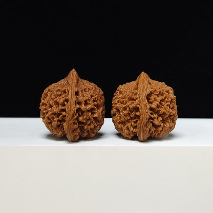 The "Starry Sky" Man Tian Xing Collector Pair | S-Grade Investment Tier | 43.0mm x 40.0mm | MTX-S-002319
