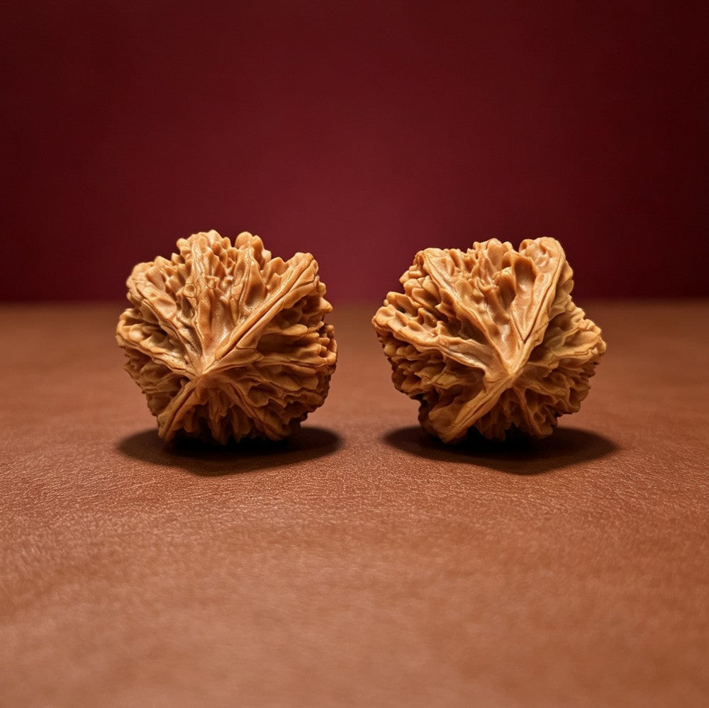 The "Deng Long Lantern" Collector Pair | A-Grade Collector Tier | 43.0mm x 43.0mm | DL-A-005718