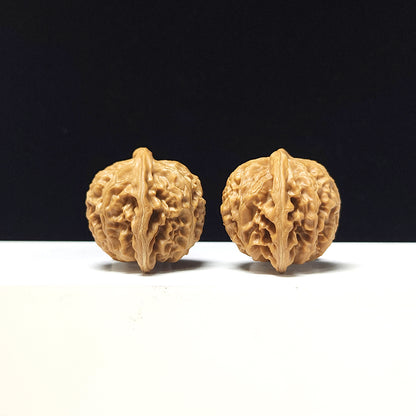 The "Deng Long Lantern" Collector Pair | A-Grade Collector Tier | 39.0mm x 34.0mm | DL-A-004717