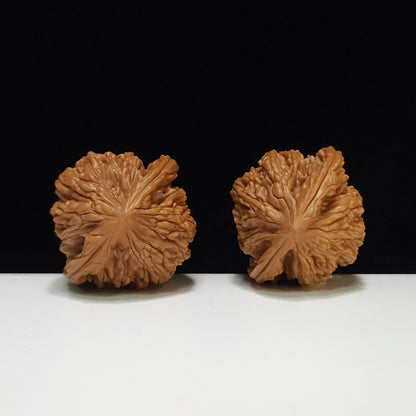 The "Wheat Ear Tiger Head Pocket Play" (Mai Sui Hu Tou Shou Nian) Premium Symmetrical Pair | 35.0mm x 34.0mm | HT-AA-009663