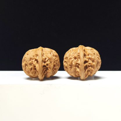 The "Lantern" Collector Pair | AA-Grade Collector Tier | 41.0mm x 36.0mm | SZ-AA-058713