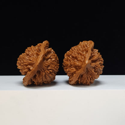 The "Qilin Texture" Qi Lin Wen Lion's Head Collector Pair | SS-Grade Masterpiece Tier | 50.0mm x 43.0mm | SZ-SS-016489