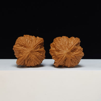The "Millstone" Mo Pan Lion's Head Collector Pair | SS-Grade Masterpiece Tier | 44.0mm x 41.0mm | MP-SS-008484
