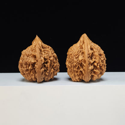 The "Qilin Texture Concave-Base Peach-Heart" Qi Lin Wen Tao Xin Ao Di Lion's Head Pair | SS-Grade Masterpiece Tier | 51.0mm x 44.0mm | SZ-SS-015488