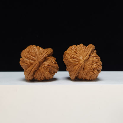 The "Spherical Round" Bai Shi Zi Lion's Head Pair | S-Grade Collector Tier | 41.0mm x 41.0mm | BSZ-S-011491