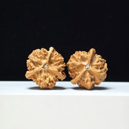The "Mount Pan Three-Ribbed" Pan Shan San Leng Exotic Collector Pair | Rare Form Tier | 40.0mm x 40.0mm | YX-E-146850