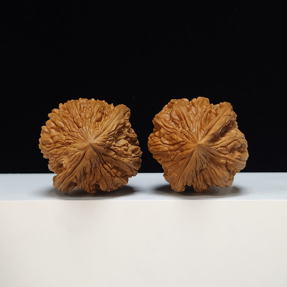 The "Dagu Stone" (Da Gu Shi) Premium Symmetrical Collector's Pair | 46.0mm x 44.0mm | JX-SS-002476