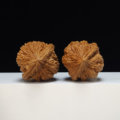 The "Dagu Stone" (Da Gu Shi) Premium Symmetrical Collector's Pair | 46.0mm x 44.0mm | JX-SS-002476