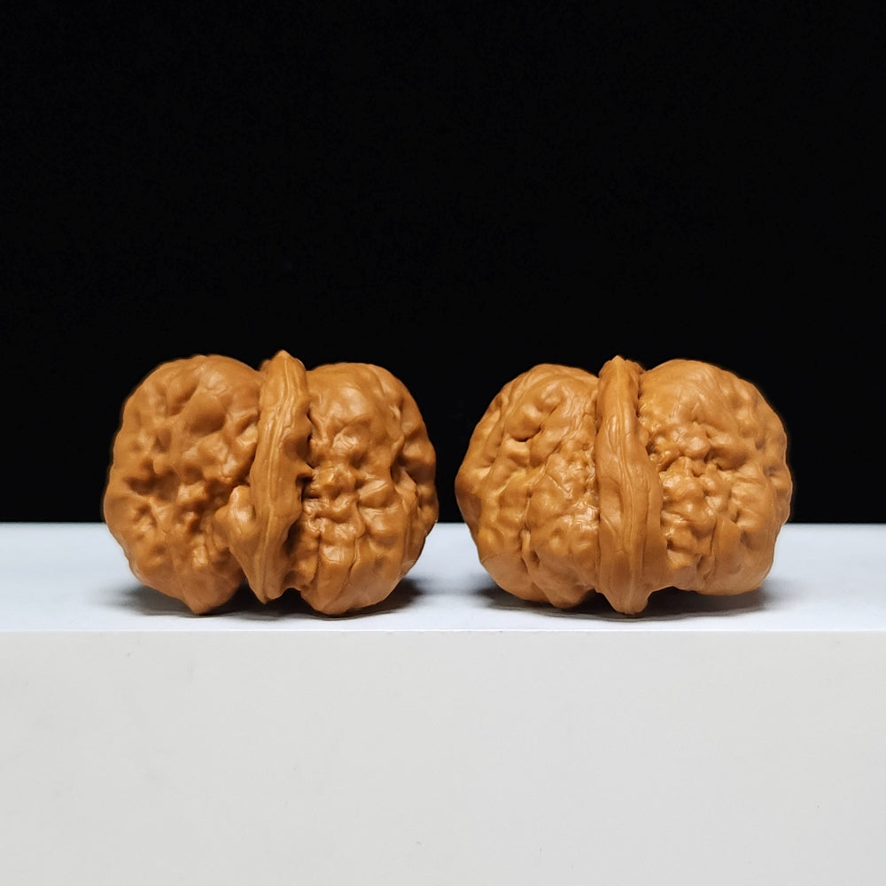The "Toad Head" Ultimate Collector's Symmetrical Pair | 42.0mm x 43.0mm | HMT-SSS-001507