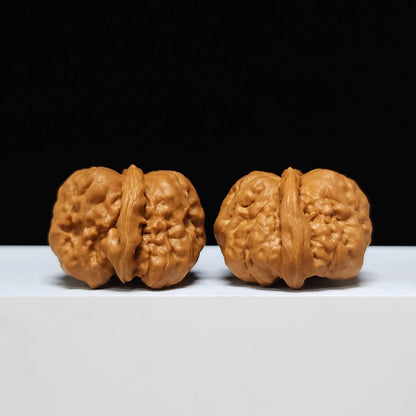 The "Toad Head" Ultimate Collector's Symmetrical Pair | 42.0mm x 43.0mm | HMT-SSS-001507