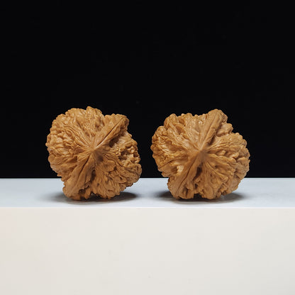The "Red Brocade Koi" (Hong Jin Li) Premium Symmetrical Collector's Pair | 41.0mm x 42.0mm | HT-SS-003474