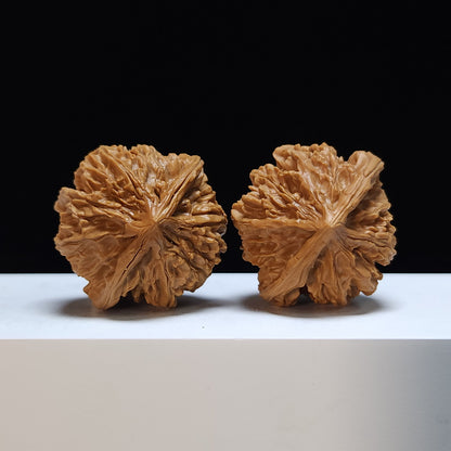 The "Shaanxi Lantern" (Shaanxi Denglong) Premium Symmetrical Collector's Pair | 46.0mm x 43.0mm | DL-S-001466