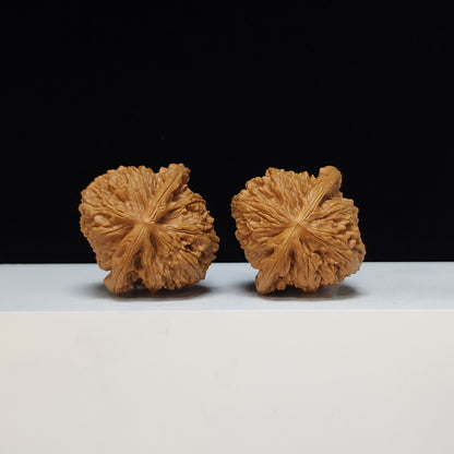 The White Lion Bai Shi Zi Collector Pair | SS-Grade Masterpiece Tier | 43.0mm x 42.0mm | BSZ-SS-010492