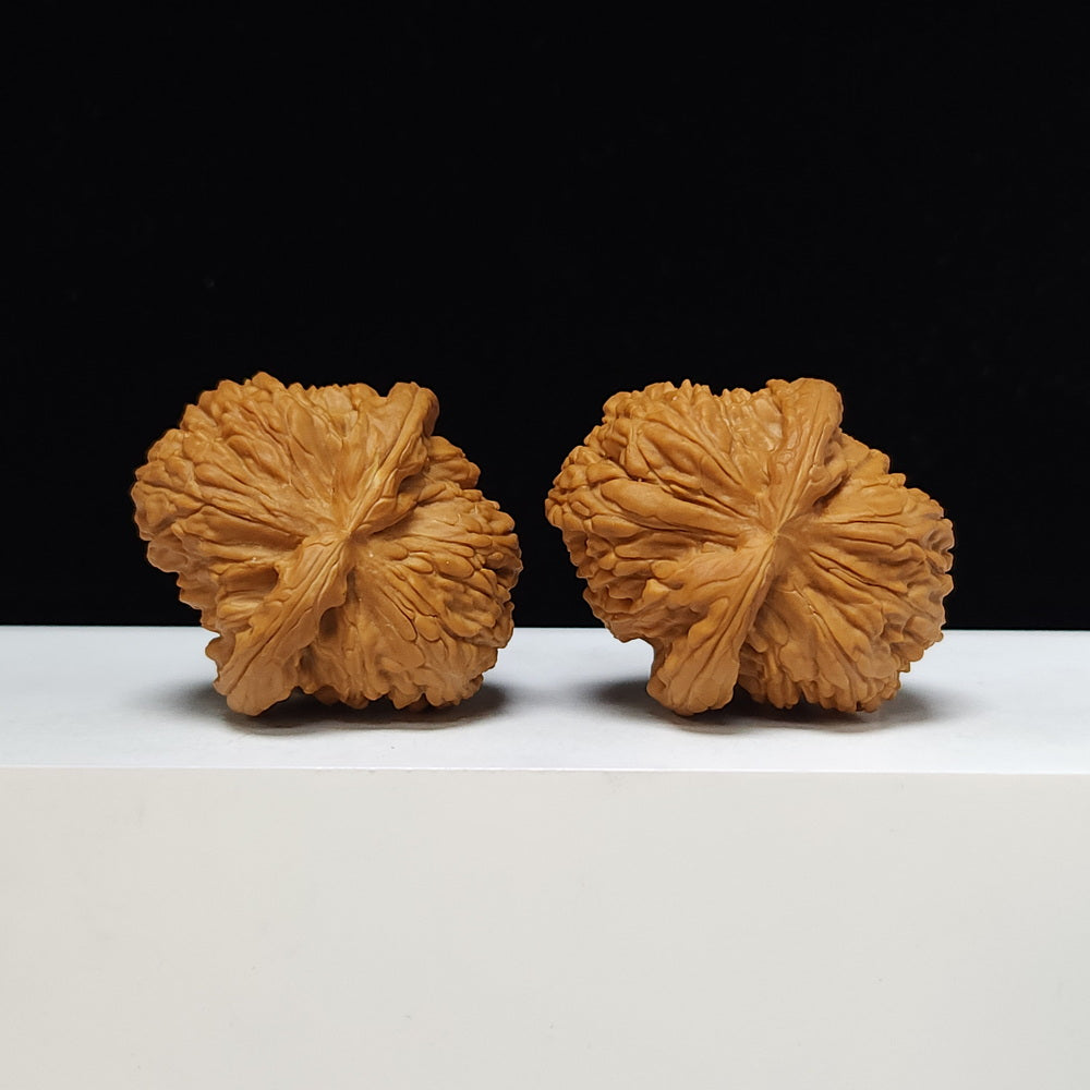 The "Butterfly Sunken-Crown White Lion" Hu Die Men Jian Bai Shi Zi Pair | SS-Grade Imperial Tier | 44.0mm x 49.0mm | BSZ-SS-007371
