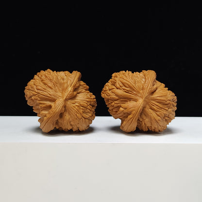 The "Butterfly Sunken-Crown White Lion" Hu Die Men Jian Bai Shi Zi Pair | SS-Grade Imperial Tier | 44.0mm x 49.0mm | BSZ-SS-007371