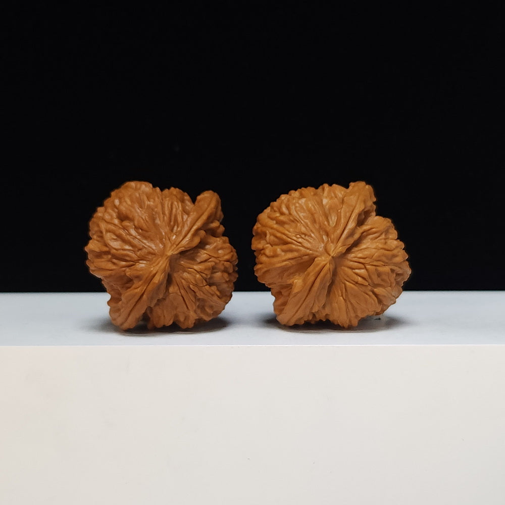 The White Lion Bai Shi Zi Collector Pair | SS-Grade Masterpiece Tier | 42.0mm x 41.0mm | BSZ-SS-011494