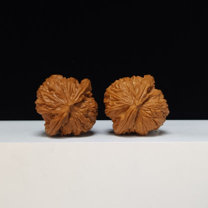 The White Lion Bai Shi Zi Collector Pair | SS-Grade Masterpiece Tier | 42.0mm x 41.0mm | BSZ-SS-011494