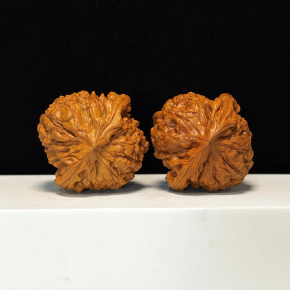 The "Dragon Tripod" Long Ding Imperial Sovereign Pair | SSS-Grade Museum Tier | 52.0mm x 51.0mm | GM-SSS-003802