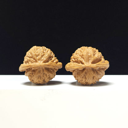 The "Deng Long Lantern" Collector Pair | A-Grade Collector Tier | 39.0mm x 34.0mm | DL-A-004717