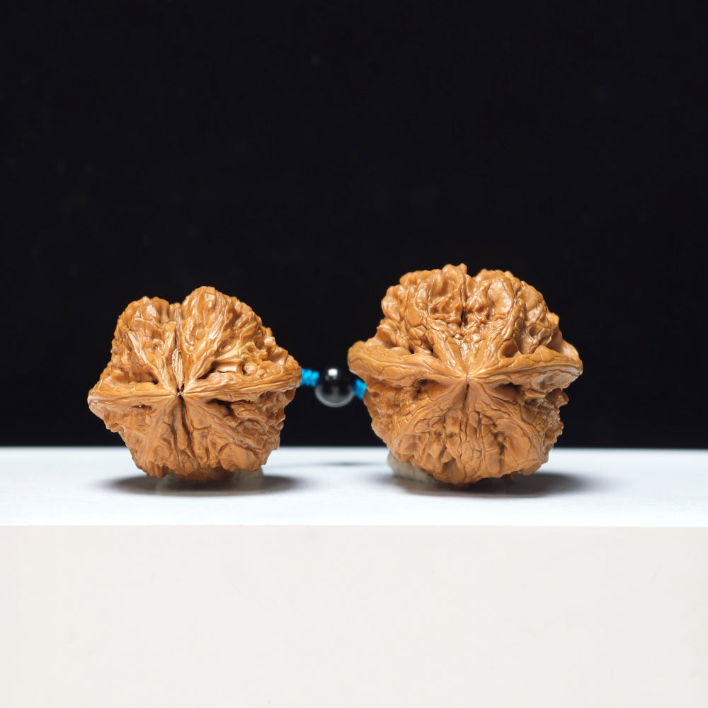 The "Thick-Veined Meteor Hammer" Cu Jin Liu Xing Chui Linked Exotic Pair | Rare Form Tier | 40.0x40.0mm & 37.0x34.0mm | YX-E-131835