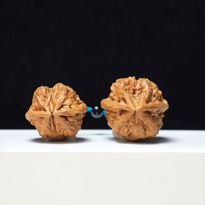 The "Thick-Veined Meteor Hammer" Cu Jin Liu Xing Chui Linked Exotic Pair | Rare Form Tier | 40.0x40.0mm & 37.0x34.0mm | YX-E-131835